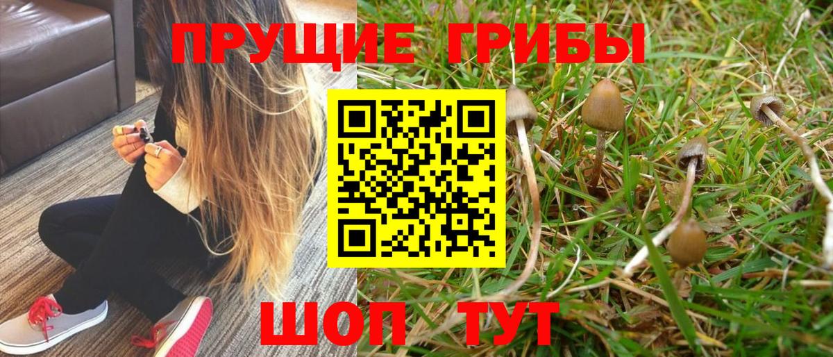 Луховицы  Галлюциногенные грибы GOLDEN TEACHER  Псилоцибиновые грибы мухоморы  Вход с VPN 