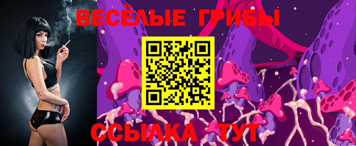 Псилоцибиновые грибы Psilocybe Луховицы